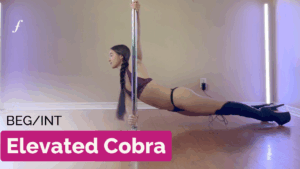 Elevated Cobra