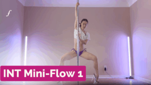 INT Mini-Flow 1