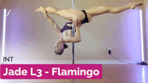 Jade L3 - Flamingo