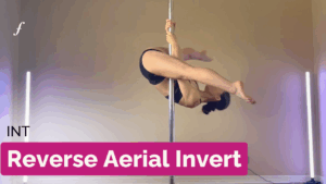 Reverse Aerial Invert