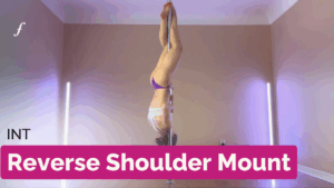 Reverse Shoulder Mount